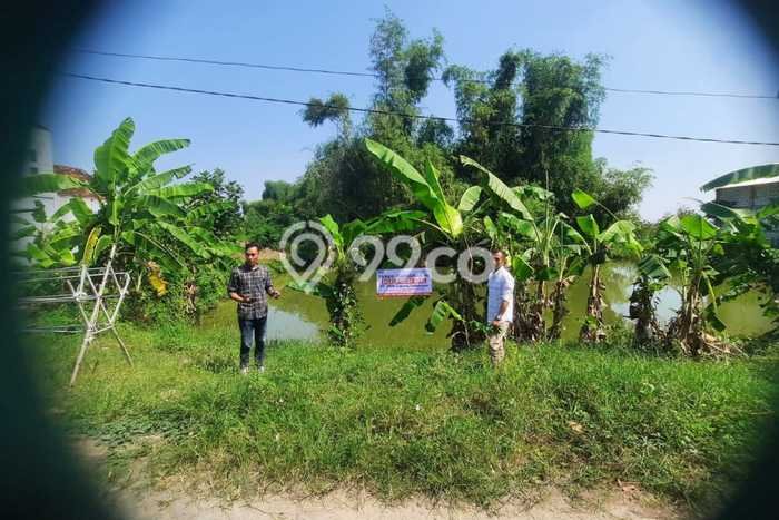 Tanah Dijual Lokasi Sarirejo, Lamongan Luas 1499m2 Legalitas Aman Tanah Dijual Lokasi Sarirejo, Lamongan Luas 1499m2 Legalitas Aman