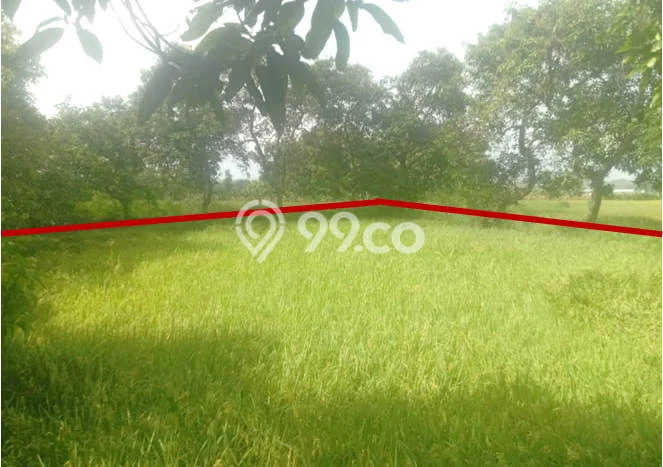 Tanah Kavling di Balongpanggang Dijual dengan Luas 1860m2 Tanah Kavling di Balongpanggang Dijual dengan Luas 1860m2