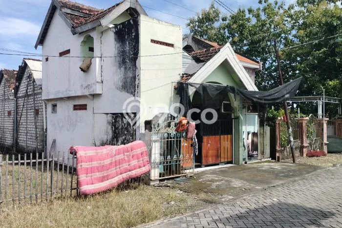 Rumah Minimalis Dijual Lokasi Pucuk 3 Kamar dengan LT 283m2 Rumah Minimalis Dijual Lokasi Pucuk 3 Kamar dengan LT 283m2