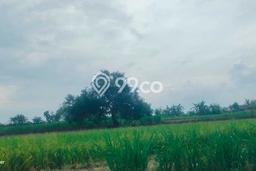 Jarang Ada! Tanah di Kembangbahu Punya Luas 623m2 SHM Jarang Ada! Tanah di Kembangbahu Punya Luas 623m2 SHM