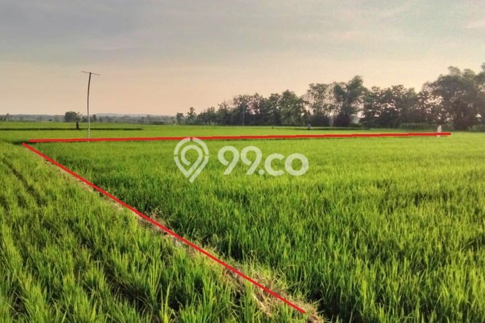 Tanah Komersial Dijual di Kedungpring Lamongan 3292m2 Tanah Komersial Dijual di Kedungpring Lamongan 3292m2