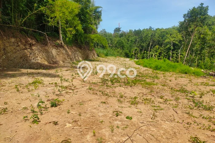 Tanah Dijual di Yogyakarta Seluas 100m2 Strategis Tanah Dijual di Yogyakarta Seluas 100m2 Strategis