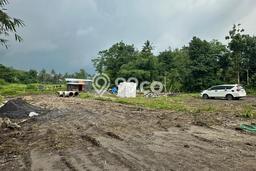Tanah Dijual Lokasi Pakem, Sleman dengan Luas Tanah 168m2 dan Status SHM Tanah Dijual Lokasi Pakem, Sleman dengan Luas Tanah 168m2 dan Status SHM