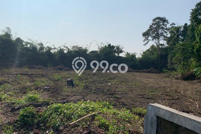 Tanah Dijual Lokasi Kalasan Sleman SHM Tanah Dijual Lokasi Kalasan Sleman SHM