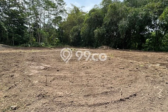 Tanah Kavling Dijual di Yogyakarta dengan Spesifikasi 114m2 Tanah Kavling Dijual di Yogyakarta dengan Spesifikasi 114m2