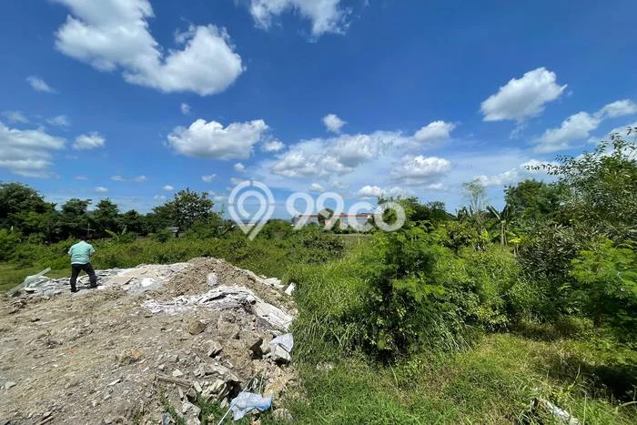 Kavling Tanah Dijual di Bantul Bantul Spesifikasi 112m2 Kavling Tanah Dijual di Bantul Bantul Spesifikasi 112m2