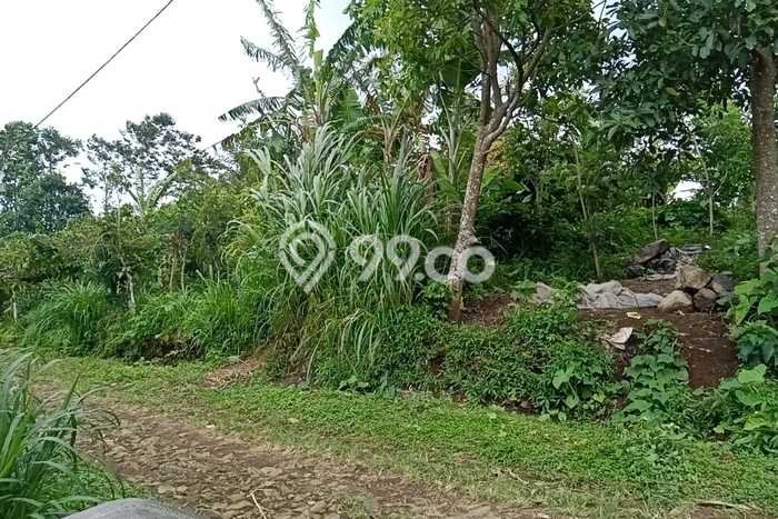 Untuk Dijual Tanah di Sukasada Buleleng Luas 1500m2 SHM Untuk Dijual Tanah di Sukasada Buleleng Luas 1500m2 SHM