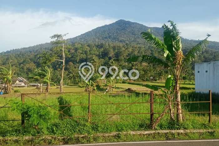 Lahan Strategis di Pandeglang Dijual dengan Luas 606m2 Lahan Strategis di Pandeglang Dijual dengan Luas 606m2