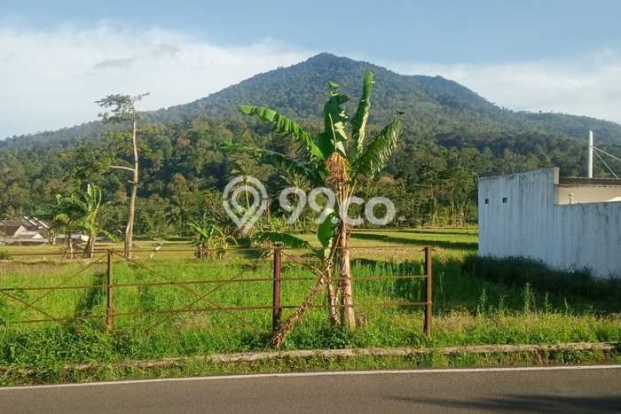 Lahan Strategis di Pandeglang Dijual dengan Luas 606m2 Lahan Strategis di Pandeglang Dijual dengan Luas 606m2