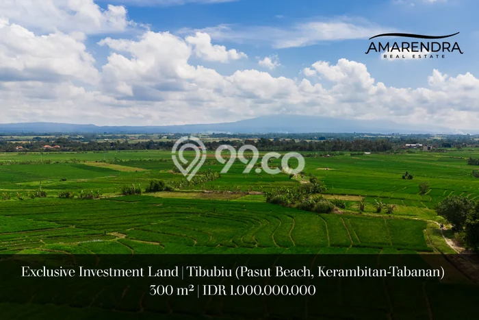 Untuk Dijual Tanah di Tabanan, Luas 300m2 SHM Untuk Dijual Tanah di Tabanan, Luas 300m2 SHM
