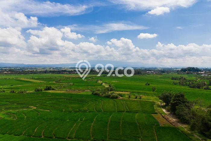 Tanah Dijual di Tabanan Seluas 4000m2 Strategis Tanah Dijual di Tabanan Seluas 4000m2 Strategis