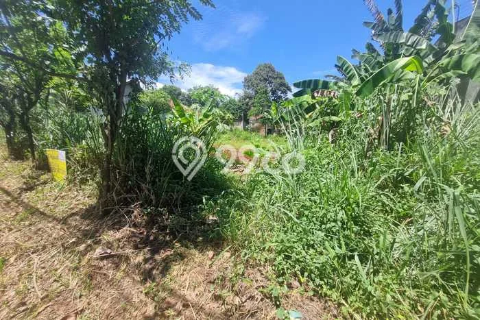Tanah untuk Dijual Lokasi Gunung Sindur, Bogor Luas 967m2 SHM Tanah untuk Dijual Lokasi Gunung Sindur, Bogor Luas 967m2 SHM