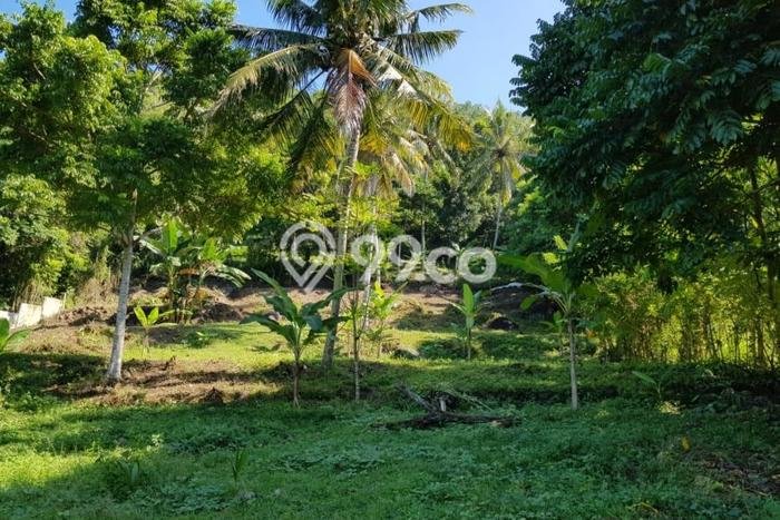 Tanah Siap Bangun Dijual di Lombok Barat Punya Luas 1706m2 Tanah Siap Bangun Dijual di Lombok Barat Punya Luas 1706m2