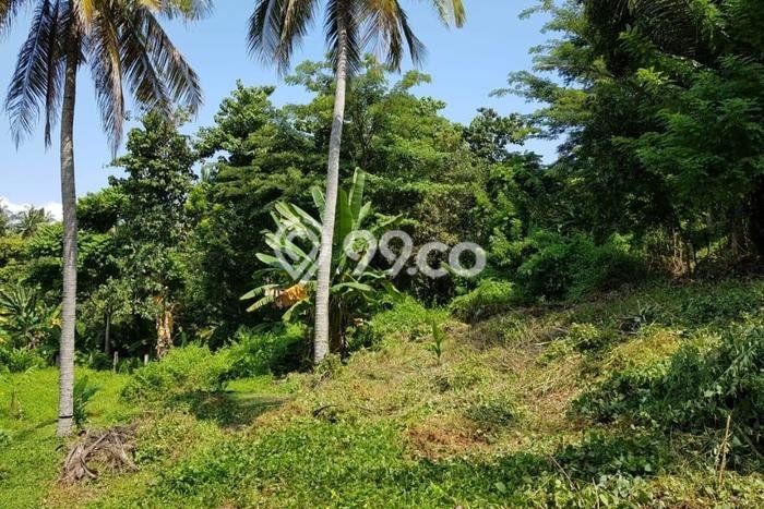 Tanah Siap Bangun Dijual di Lombok Barat Punya Luas 1706m2 Tanah Siap Bangun Dijual di Lombok Barat Punya Luas 1706m2