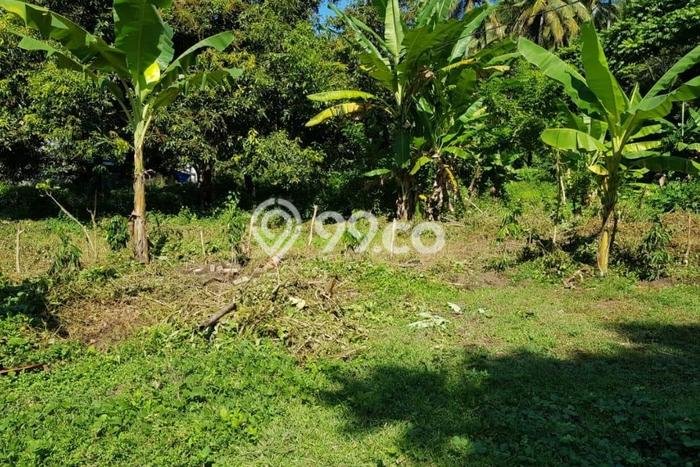 Tanah Siap Bangun Dijual di Lombok Barat Punya Luas 1706m2 Tanah Siap Bangun Dijual di Lombok Barat Punya Luas 1706m2