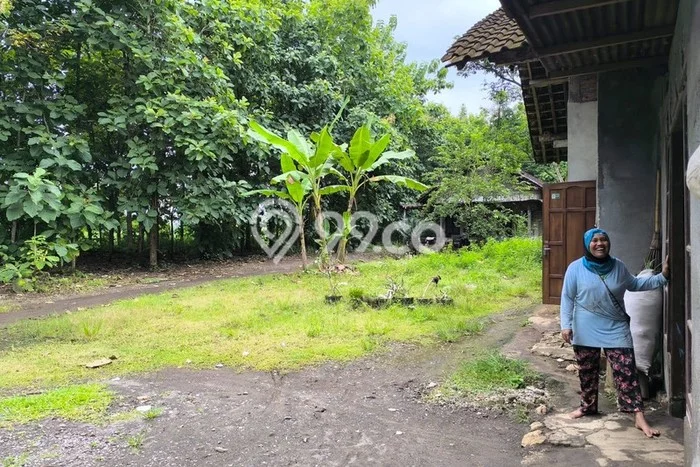 Untuk Dijual Tanah di Sedayu Bantul Luas 1147m2 SHM Untuk Dijual Tanah di Sedayu Bantul Luas 1147m2 SHM