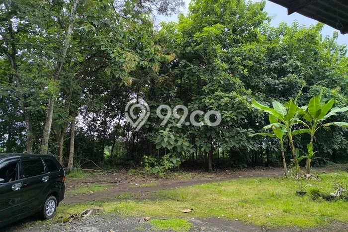 Untuk Dijual Tanah di Sedayu Bantul Luas 1147m2 SHM Untuk Dijual Tanah di Sedayu Bantul Luas 1147m2 SHM