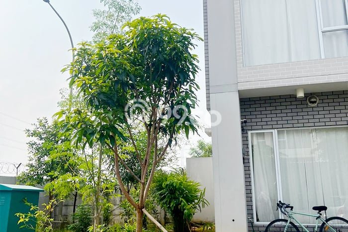 Dijual Rumah Eksklusif 2 KT di Delta Mas, Bekasi Dijual Rumah Eksklusif 2 KT di Delta Mas, Bekasi