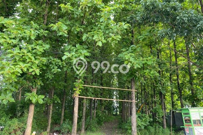 Kavling Tanah Dijual di Patebon Kendal Spesifikasi 4000m2 Kavling Tanah Dijual di Patebon Kendal Spesifikasi 4000m2