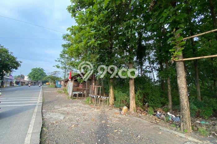 Kavling Tanah Dijual di Patebon Kendal Spesifikasi 4000m2 Kavling Tanah Dijual di Patebon Kendal Spesifikasi 4000m2