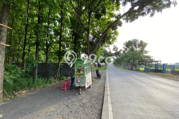 Kavling Tanah Dijual di Patebon Kendal Spesifikasi 4000m2 Kavling Tanah Dijual di Patebon Kendal Spesifikasi 4000m2