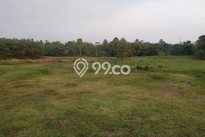 Kavling Tanah Dijual di Labuan, Pandeglang, Luas 49000m2 Area Strategis Kavling Tanah Dijual di Labuan, Pandeglang, Luas 49000m2 Area Strategis