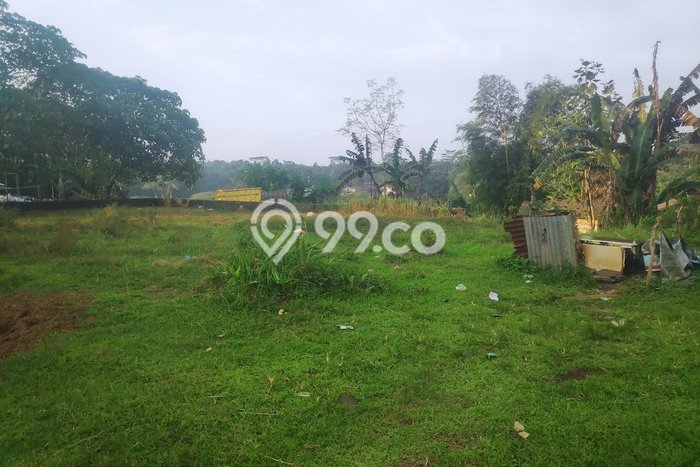 Kavling Tanah Dijual di Labuan, Pandeglang, Luas 49000m2 Area Strategis Kavling Tanah Dijual di Labuan, Pandeglang, Luas 49000m2 Area Strategis