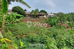 Kavling Tanah di Cijeruk Dijual Luas 3378m2 Legalitas SHM Kavling Tanah di Cijeruk Dijual Luas 3378m2 Legalitas SHM
