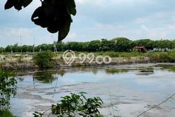 Lahan Kosong Dijual di Tuban dengan Area 22000m2 Lahan Kosong Dijual di Tuban dengan Area 22000m2