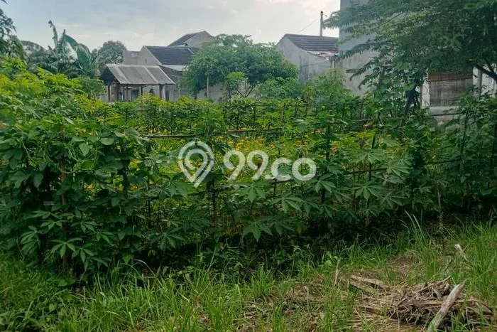 Dijual Tanah Lokasi Menganti, Surabaya Seluas 98m2 Dijual Tanah Lokasi Menganti, Surabaya Seluas 98m2