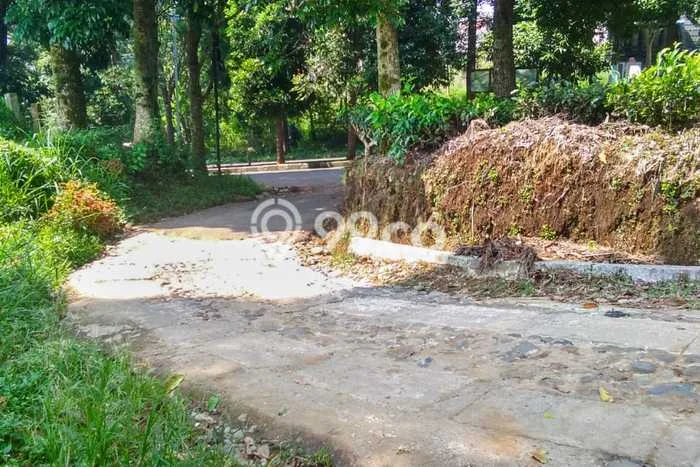 Jarang Ada! Tanah di Pagar Alam Selatan Punya Luas 6446m2 SHM Jarang Ada! Tanah di Pagar Alam Selatan Punya Luas 6446m2 SHM