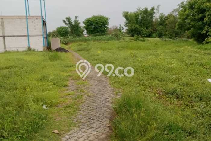 Kavling Tanah Dijual di Driyorejo Gresik Spesifikasi 138m2 Kavling Tanah Dijual di Driyorejo Gresik Spesifikasi 138m2