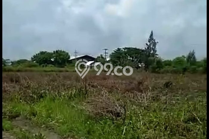 Untuk Dijual Tanah di Widang Tuban Luas 40000m2 SHM Untuk Dijual Tanah di Widang Tuban Luas 40000m2 SHM