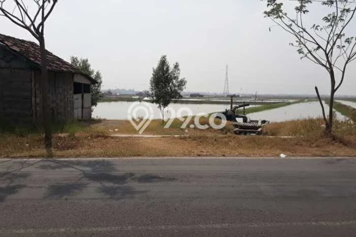 Tanah untuk Dijual Lokasi Benowo, Surabaya Luas 40m2 SHM Tanah untuk Dijual Lokasi Benowo, Surabaya Luas 40m2 SHM
