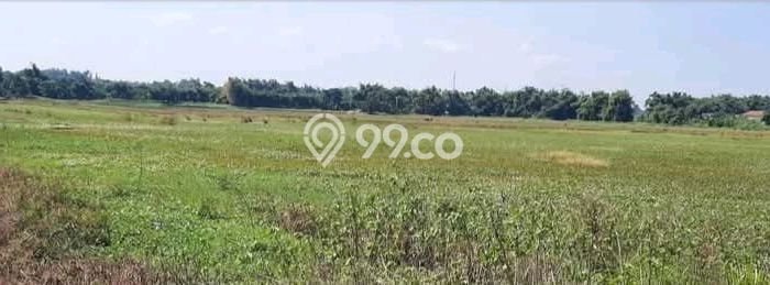 Tanah Dijual Lokasi Wringinanom, Gresik Luas 150000m2 Legalitas Aman Tanah Dijual Lokasi Wringinanom, Gresik Luas 150000m2 Legalitas Aman