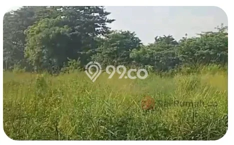 Tanah Komersial Dijual di Kutorejo Mojokerto 26000m2 Tanah Komersial Dijual di Kutorejo Mojokerto 26000m2