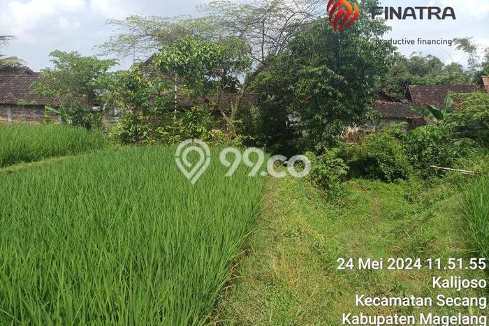 Tanah Komersial Dijual di Secang Magelang 1432m2 Tanah Komersial Dijual di Secang Magelang 1432m2