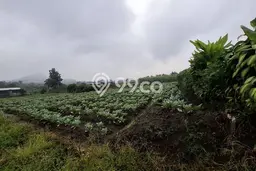 Tanah Strategis Dijual di Junrejo Batu 833m2 Tanah Strategis Dijual di Junrejo Batu 833m2