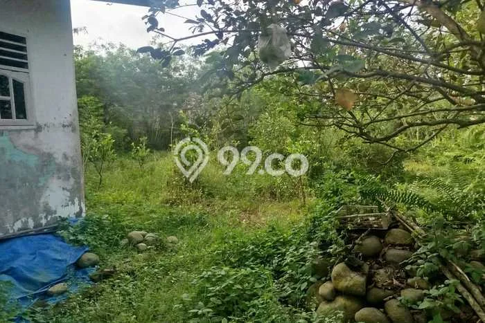 Lahan Investasi Lokasi Beringin Deli Serdang - Lahan Investasi Lokasi Beringin Deli Serdang -