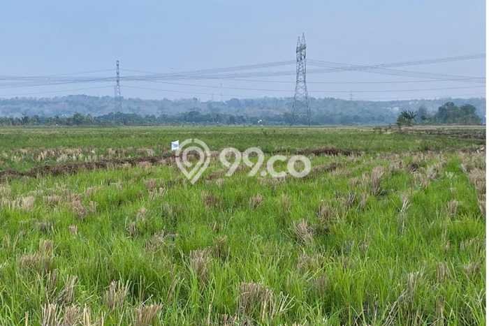 Lahan Kosong Dijual di Tanggungharjo, Grobogan, Luas 1800m2 Area Strategis Lahan Kosong Dijual di Tanggungharjo, Grobogan, Luas 1800m2 Area Strategis