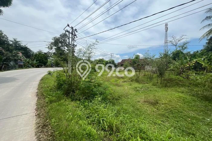 Tanah di Terbanggi Besar, Lampung Tengah Luas 619m2 Dijual Segera Tanah di Terbanggi Besar, Lampung Tengah Luas 619m2 Dijual Segera