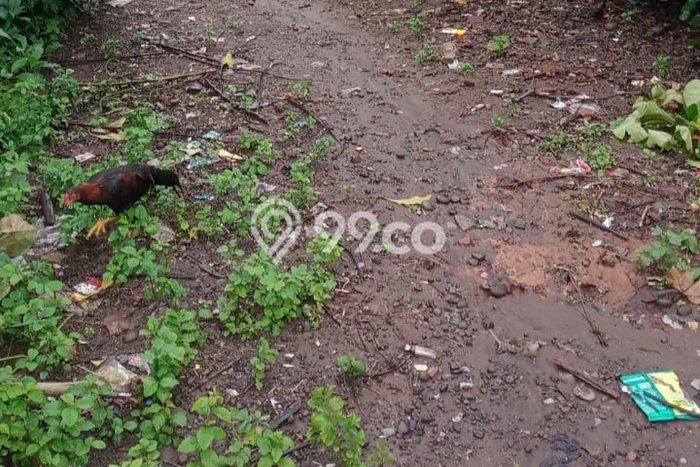 Lahan Investasi Lokasi Sanrobone Takalar SHM Lahan Investasi Lokasi Sanrobone Takalar SHM