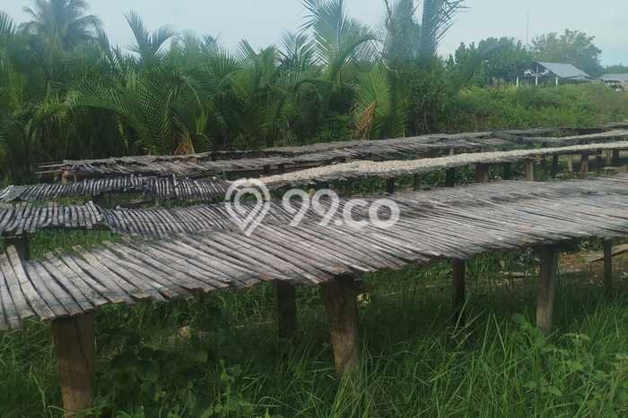 Dijual Tanah di Pantai Labu Deli Serdang Luas 811m2 SHM Dijual Tanah di Pantai Labu Deli Serdang Luas 811m2 SHM