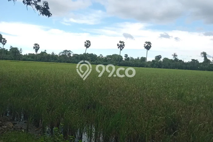 Tanah untuk Dijual di Makassar Makassar Luas 2018m2 Tanah untuk Dijual di Makassar Makassar Luas 2018m2