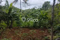 Tanah Kavling untuk Dijual di Panggang Gunung Kidul 7694m2 Tanah Kavling untuk Dijual di Panggang Gunung Kidul 7694m2