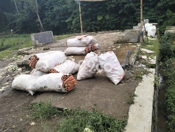 Tanah Komersial Dijual di Pacet Bandung 264m2 Tanah Komersial Dijual di Pacet Bandung 264m2