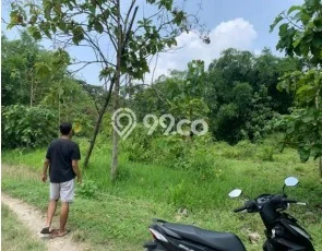 Tanah di Penawangan, Grobogan Luas 2202m2 Dijual Segera Tanah di Penawangan, Grobogan Luas 2202m2 Dijual Segera
