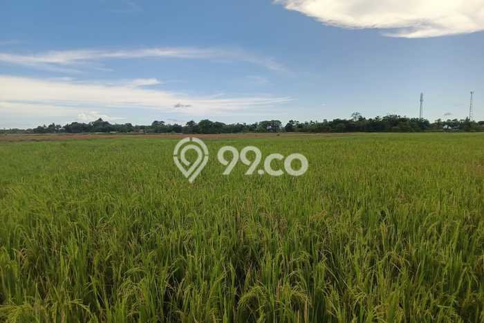 Lahan Investasi Lokasi Sanrobone Takalar SHM Lahan Investasi Lokasi Sanrobone Takalar SHM