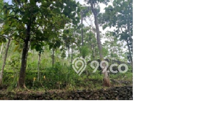 Lahan Kosong Dijual di Donorojo, Pacitan, Luas 5171m2 Area Strategis Lahan Kosong Dijual di Donorojo, Pacitan, Luas 5171m2 Area Strategis