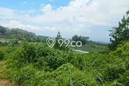 Lahan Kosong Dijual di Karangploso, Malang, Luas 2000m2 Area Strategis Lahan Kosong Dijual di Karangploso, Malang, Luas 2000m2 Area Strategis